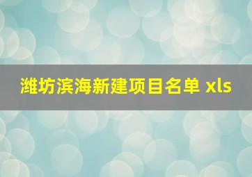 潍坊滨海新建项目名单 xls